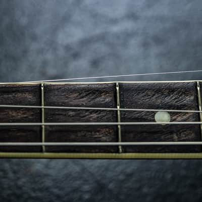 1928 Levin Model T 175 Tenor Banjo image 13