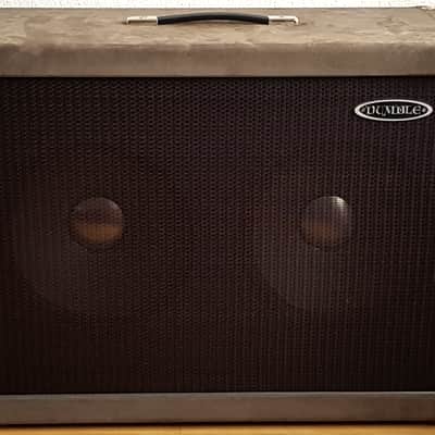 Dumble Overdrive Special WX50 1978 - gray suede image 3