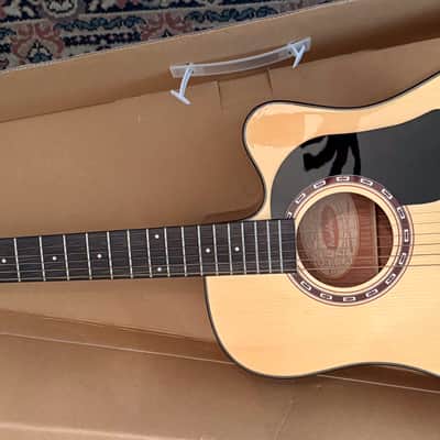 Washburn APPRENTICE D5CE-PACK Acoustic Guitar, AD5CEPACK-A-U image 1