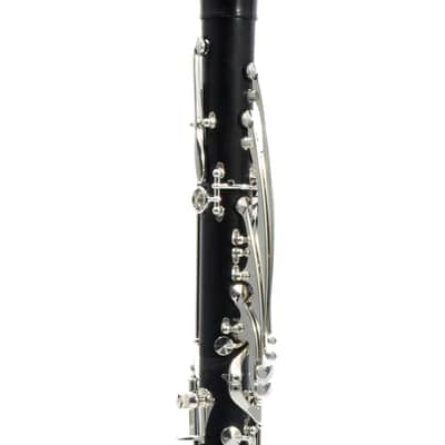 Backun 'Lumiere' Custom Grenadilla Clarinet in Bb SN 829 OPEN BOX image 15