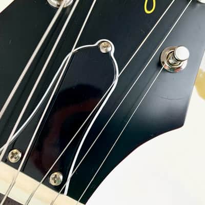 Epiphone Les Paul Standard 1959 Outfit Limited Edition 2021 Aged Dark Burst image 12