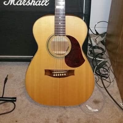 Maton EBG808TE image 1