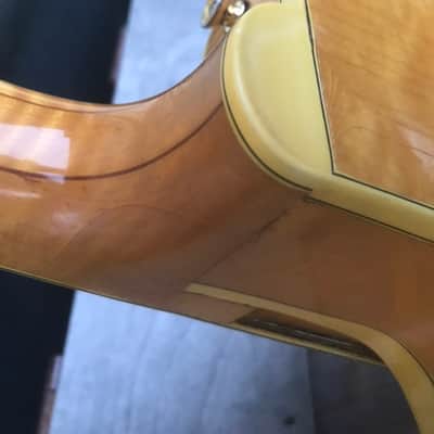 Gibson Byrdland 1962 Natural image 7