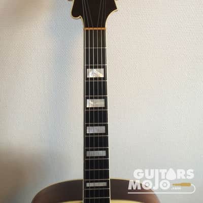 Crafton Rex 1954 Sunburst image 3