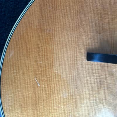 Tacoma M2 Mandolin with hard case - made in the USA image 5