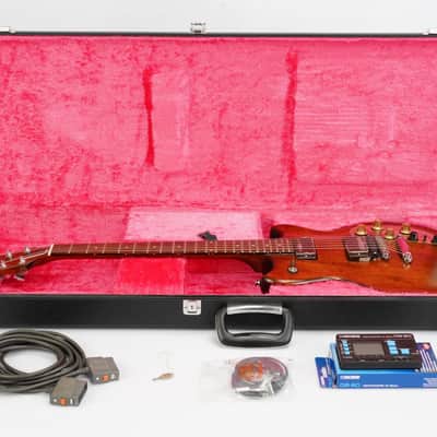 Roland G-303 GR Series Electric Guitar w/ GK-1 Dennis Budimir #54316 image 3