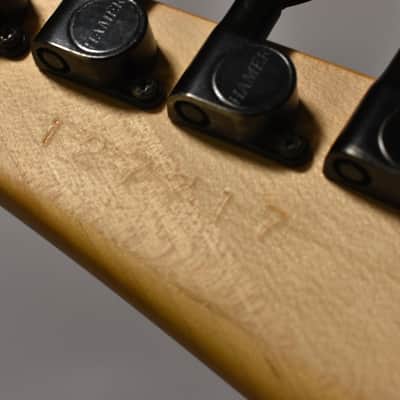 1991 Hamer USA Chaparral Elite Flame Maple Natural w/HSC image 24