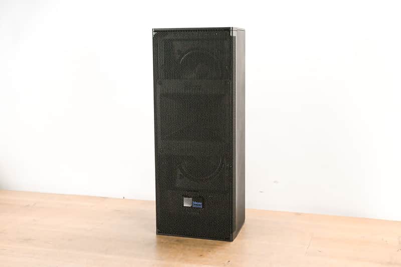 Meyer Sound Ultra-X22 Narrow Coverage Speaker (PAIR) w/ 3M Digital Input CG010QZ image 1
