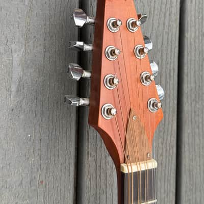 2001 Doyle Mandola image 3