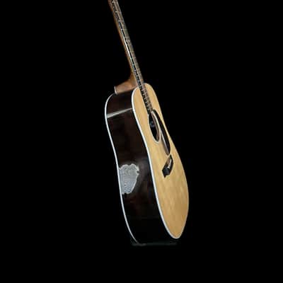 Martin D13 Road Series 2018 - Gloss with electronics and soft shell case image 4