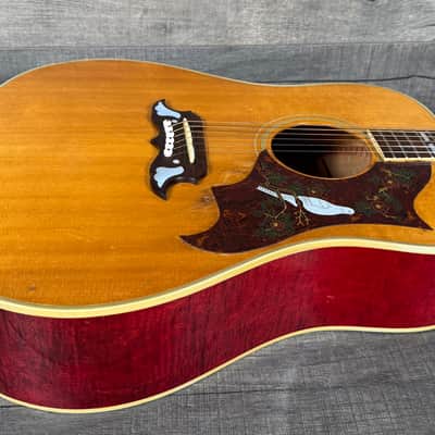 Gibson Dove 1968 - Natural image 3