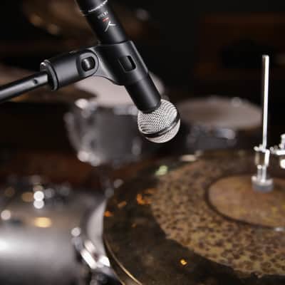Beyerdynamic M160 V2 Hypercardioid Double Ribbon Dynamic Microphone image 3