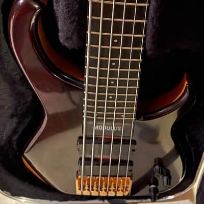 Modulus Quantum Coco Bolo 6 String Bass image 6
