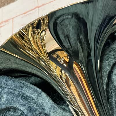 Yamaha YHR-672N F/Bb Professional Double French Horn 2024 Nickle Silver New Unplayed Auth Dlr #036 image 17