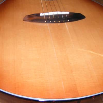 Breedlove  Organic Collection Signature Concert Jeff Bridges Acoustic-Electric Guitar  Issue See Notes image 9