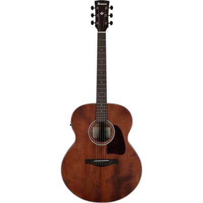Ibanez AJ54E Artwood Acoustic-Electric Guitar, Open Pore Natural image 3