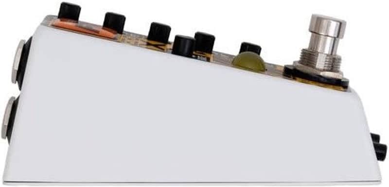 Rainger FX Echo-X Digital Delay Mini Pedal (with Igor) image 1
