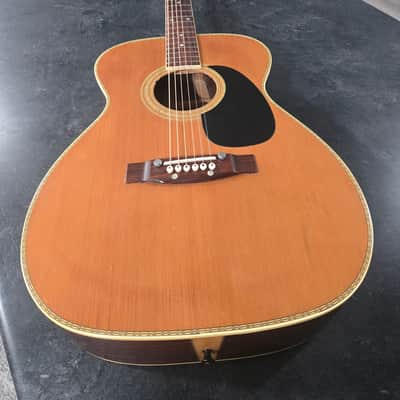 Vintage 70's Orpheum 359-F Acoustic Guitar With Case image 1