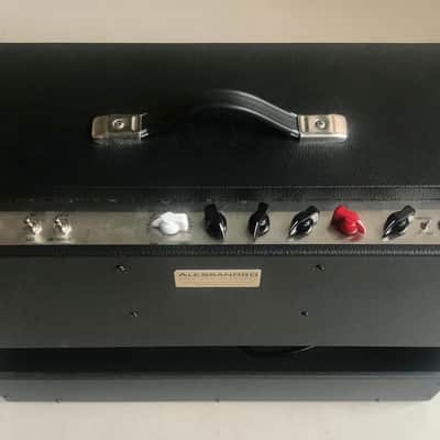 Allessandro Working Dog: Doberman 40 watt Combo image 2
