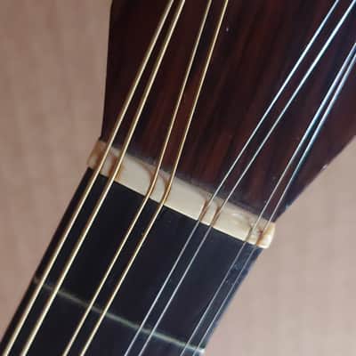 Rare Schwarzer Model 120 "Echo" bowl back mandolin Circa 1900 image 17