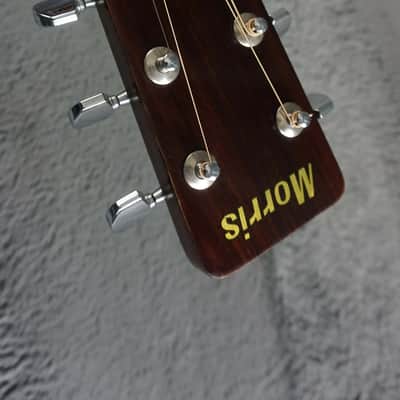 Morris F-18 Japan Folk Acoustic Guitar image 8
