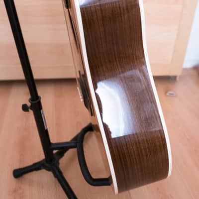 Gibson CL 40 Artist image 2