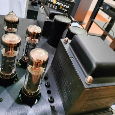 VTL MB-125 COPPIA FINALI MONO MONOBLOCK VALVOLARI TUBE POWER AMP VTL- MB125  Silver image 13