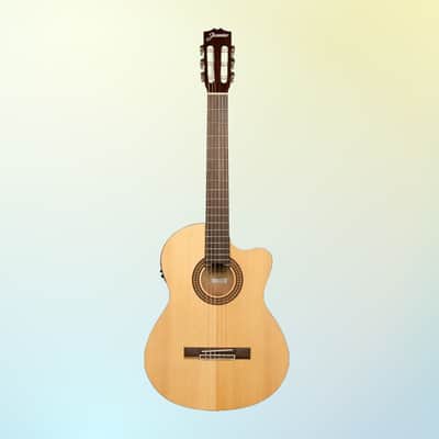 Jasmine JC-25CE Nylon String Classical Electric Guitar (Natural) *USA Small Business* image 2