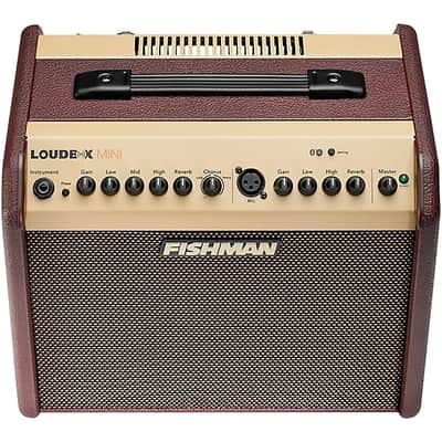Fishman PRO-LBT-500 Loudbox Mini with Bluetooth 2-Channel 60-Watt 1x6.5" Acoustic Guitar Amp image 2