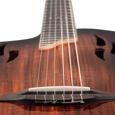 Ortega TourPlayer Series Nylon String Acoustic-Electric Guitar - RTPDLX-ACA-L, Left-handed image 9