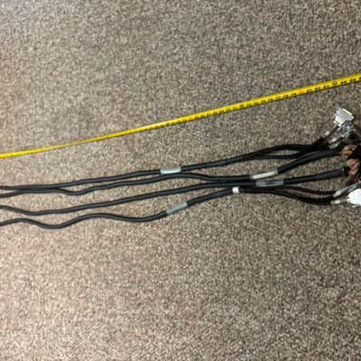 2x Mogami Dsub (DB25) to DL Snakes (48 Channels total) image 1
