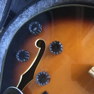 Samick HF650 Artist Series Hollow Body w/Case 2 Color Sunburst image 7