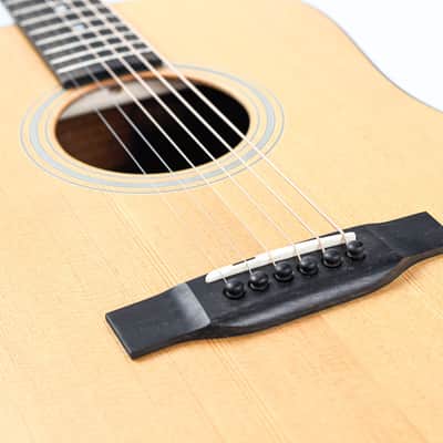 Eastman E1D Dreadnought Lefty image 14
