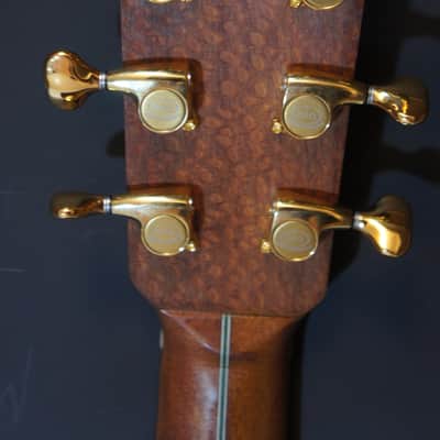 Darren Hippner #17 Ltd Dreadnought/ Bluegrass-Adirondack Spruce top/ Tasmania Jarrah image 22
