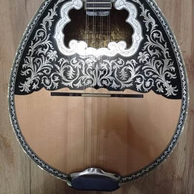 Greek Bouzouki & hardcase & pickup & 300 backing track with pdf scores 8 string 1990 approximately image 2