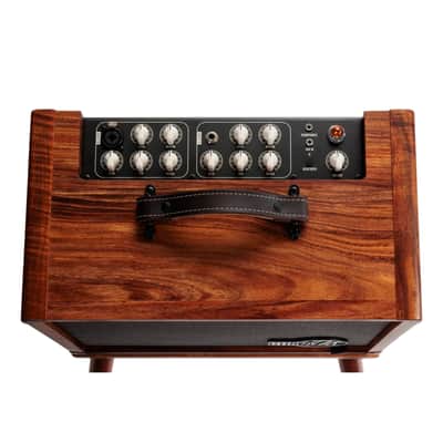 Taylor Circa 74 Acoustic Guitar/Vocal 1 x 10 Full-Range Combo Amplifier, Hawaiian Koa image 7