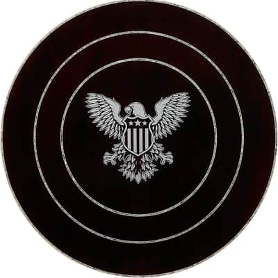 Ibanez BA250 United States 250th Anniversary Limited Edition Resonator Banjo, Purpleheart Fingerboard, America 250 image 4