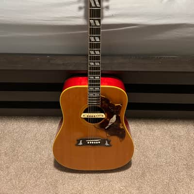 Gibson Dove 1968 - 1974 - Natural image 1