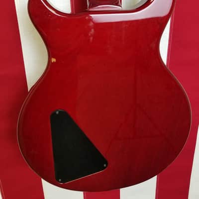 1999 Hamer Artist 25th Anniversary image 5