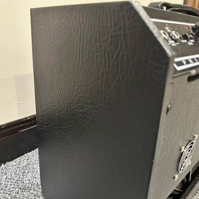 Evil Robot Phil X Custom 214 EVR-C30 Combo Amp w/ Footswitch image 7