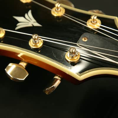 Aria Pro II FA-70 Jazz Hollowbody Archtop in 3 Color Sunburst image 22