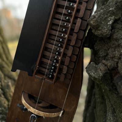 Hurdy-Gurdy - 19 keys - 3 string - Hurdy Gurdy Musical Instrument Lyre image 2