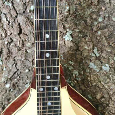 Gibson A-3 Mandolin image 11