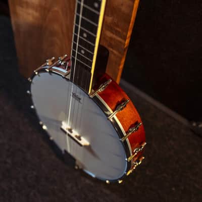 Washburn B7 Banjo image 8
