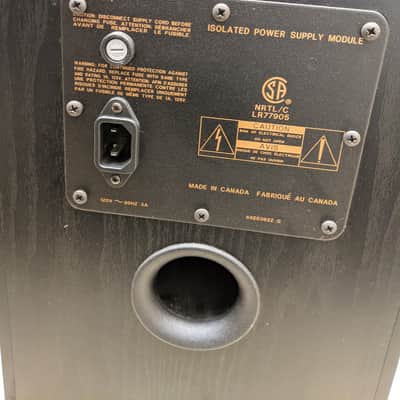 Sound Dynamics RTS-P100 Floor Standing Speakers (Black) image 6