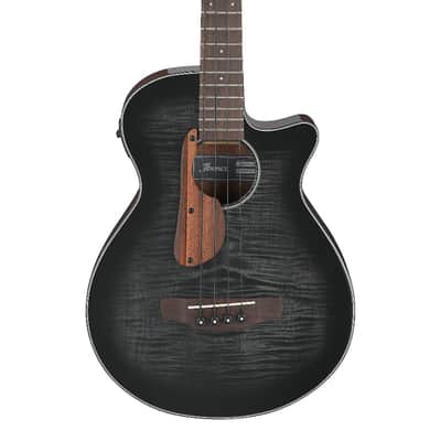 Ibanez AEGB25E Acoustic-Electric Bass Transparent Black Burst High Gloss image 1