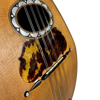 Pasquale Vinaccia Mandolin from 1883 image 5