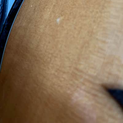 Breedlove Performance Focus D 2004 - new frets, Natural image 15