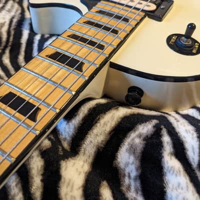 Epiphone Les Paul Negative Standard w/ Gibson Burstbuckers & Hard shell case image 18