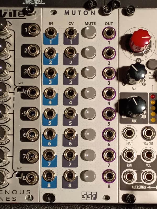 Steady State Fate Muton